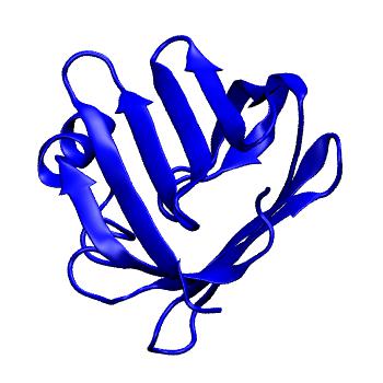 Structure preview of MoDEL 1EAL