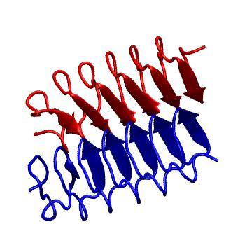 Structure preview of MoDEL 1EZG