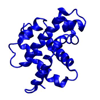 Structure preview of MoDEL 1EMY