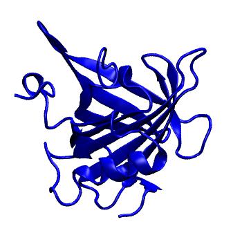Structure preview of MoDEL 1EW3
