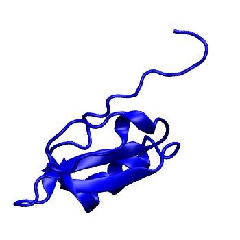 Structure preview of MoDEL 1EGL