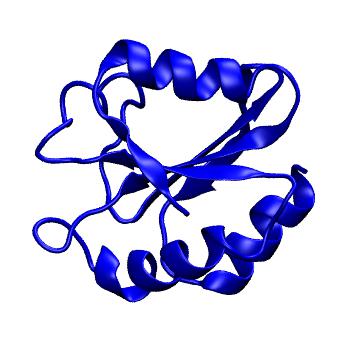 Structure preview of MoDEL 1ERT