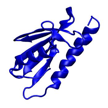 Structure preview of MoDEL 1EW4