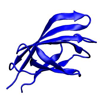 Structure preview of MoDEL 1E5B