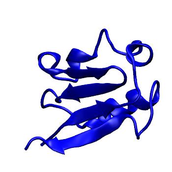 Structure preview of MoDEL 1FWP