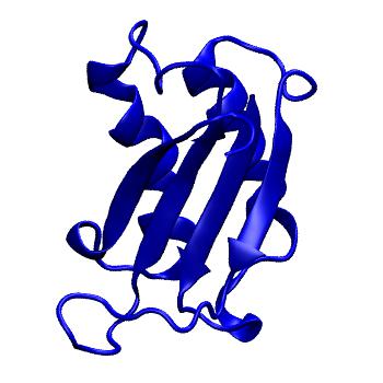 Structure preview of MoDEL 1FIM