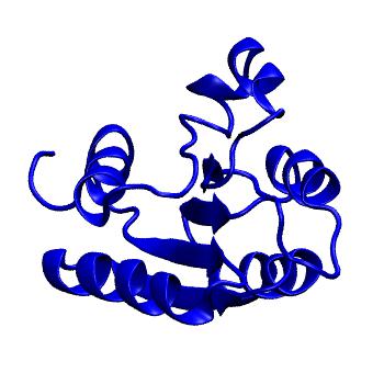 Structure preview of MoDEL 2FSP
