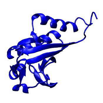 Structure preview of MoDEL 1F7W