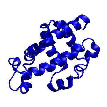 Structure preview of MoDEL 1FLP