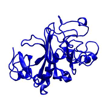 Structure preview of MoDEL 1FIB