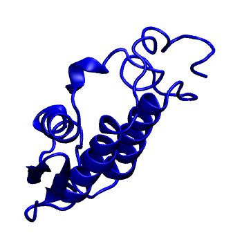 Structure preview of MoDEL 1FE5