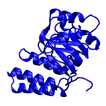 Structure preview of MoDEL 1FY9