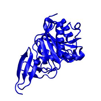 Structure preview of MoDEL 1FBN