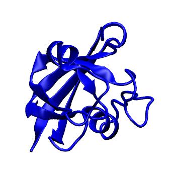 Structure preview of MoDEL 1FRD