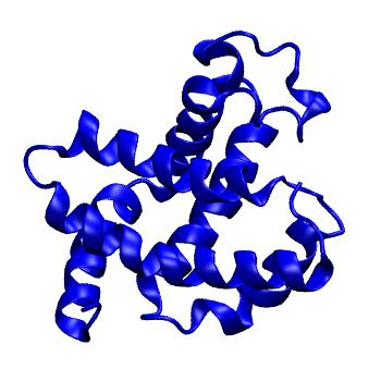 Structure preview of MoDEL 1GJN