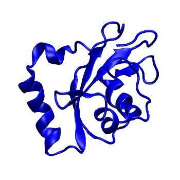 Structure preview of MoDEL 1GNU