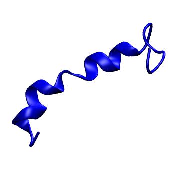 Structure preview of MoDEL 1GCN
