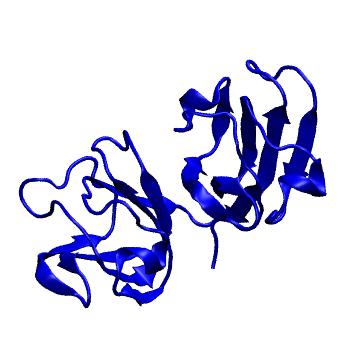 Structure preview of MoDEL 2G98