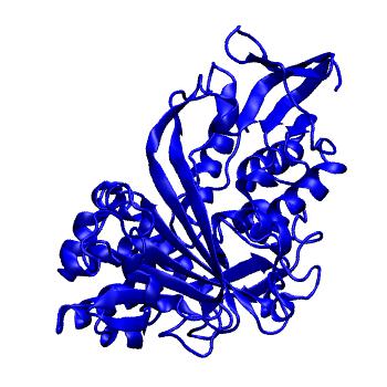 Structure preview of MoDEL 1GND
