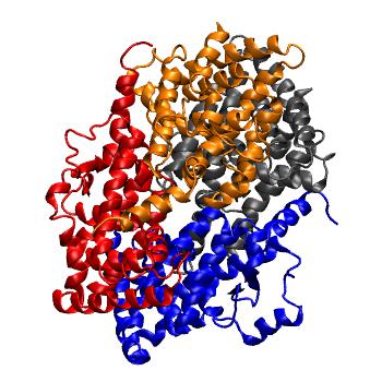 Structure preview of MoDEL 1G1U
