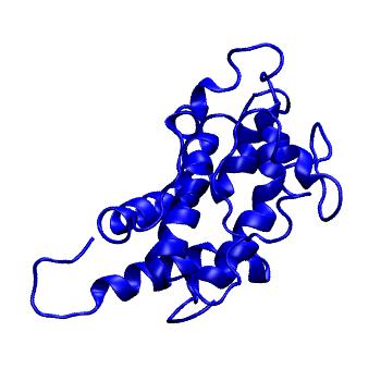 Structure preview of MoDEL 1GNC