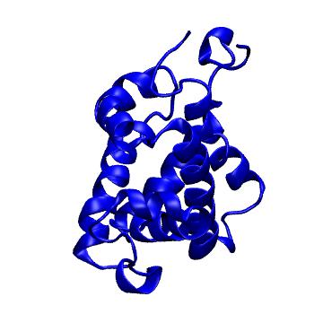 Structure preview of MoDEL 1HLB