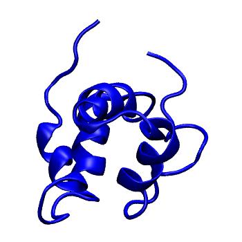Structure preview of MoDEL 1HYP