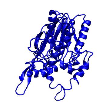 Structure preview of MoDEL 1HQD