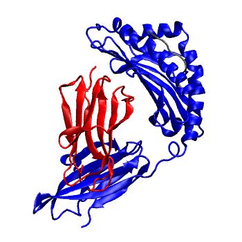 Structure preview of MoDEL 1HSA