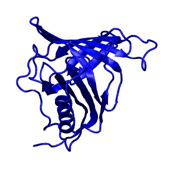 Structure preview of MoDEL 1HBQ