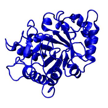 Structure preview of MoDEL 2HVM
