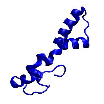 Structure preview of MoDEL 1HTA