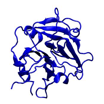 Structure preview of MoDEL 1HXN