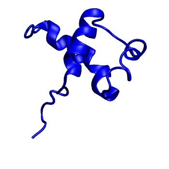 Structure preview of MoDEL 1HDP
