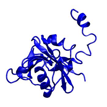Structure preview of MoDEL 1HTN