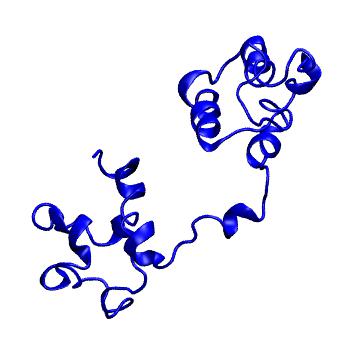 Structure preview of MoDEL 1IUF