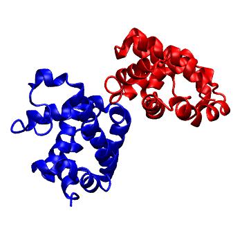 Structure preview of MoDEL 1ITH