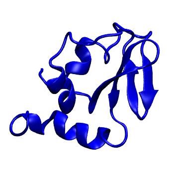 Structure preview of MoDEL 1IBA