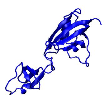 Structure preview of MoDEL 1IX5