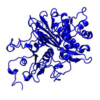 Structure preview of MoDEL 1INP