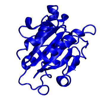 Structure preview of MoDEL 1IDO