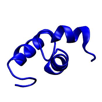 Structure preview of MoDEL 1IFY