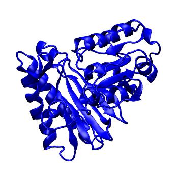 Structure preview of MoDEL 1IME