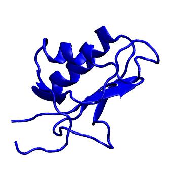 Structure preview of MoDEL 1IV0