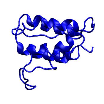 Structure preview of MoDEL 1JLI