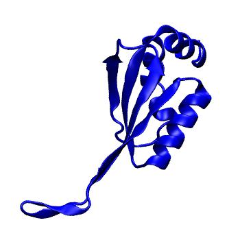 Structure preview of MoDEL 1J2V