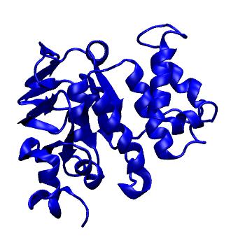 Structure preview of MoDEL 1JI0