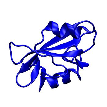 Structure preview of MoDEL 1JWO