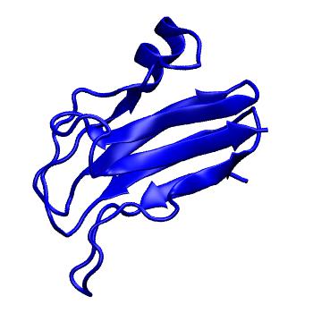 Structure preview of MoDEL 1J5D