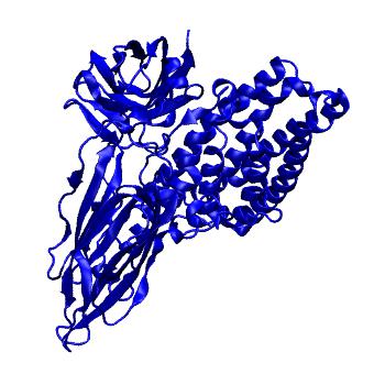 Structure preview of MoDEL 1JI6
